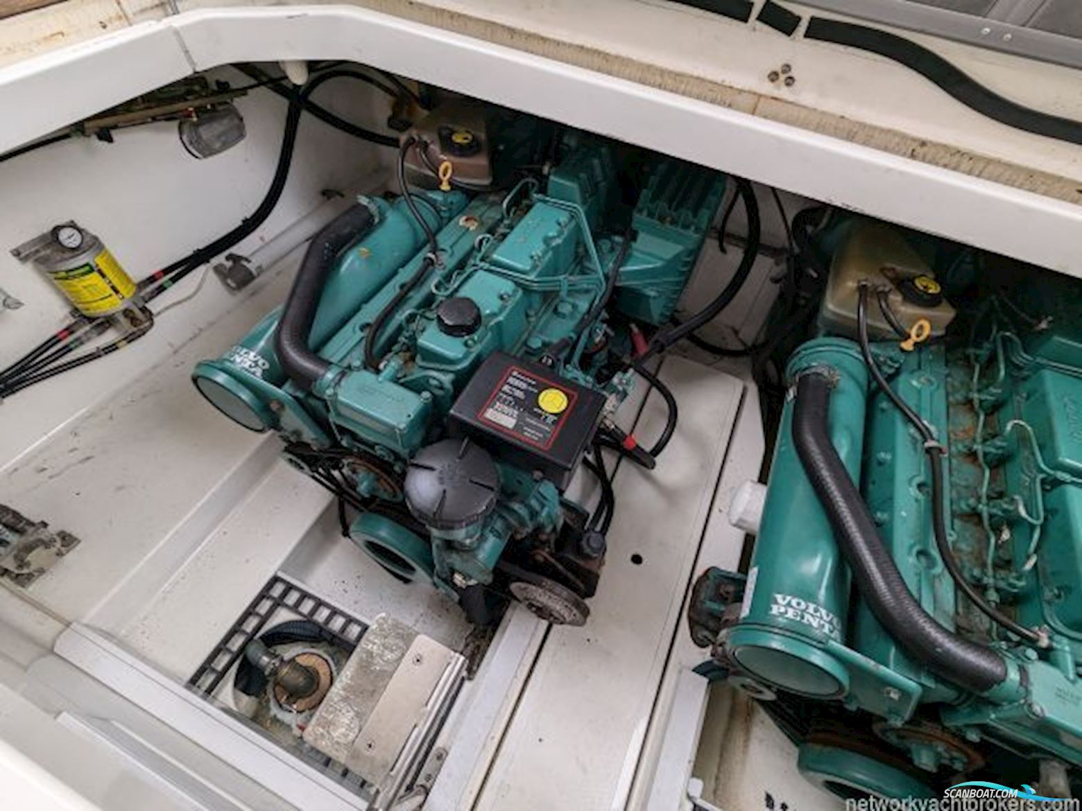 Sealine International F34