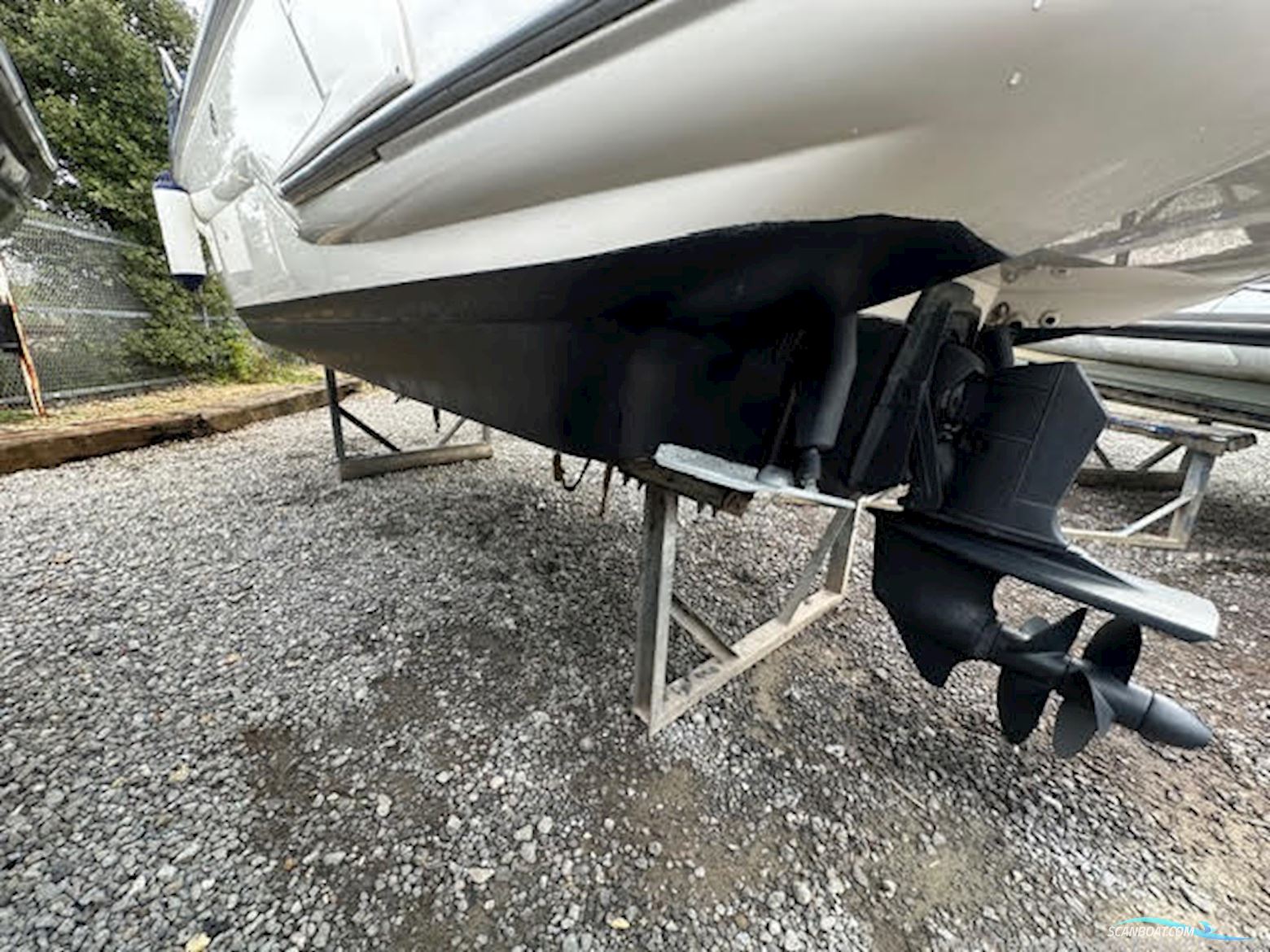 Sealine International S24