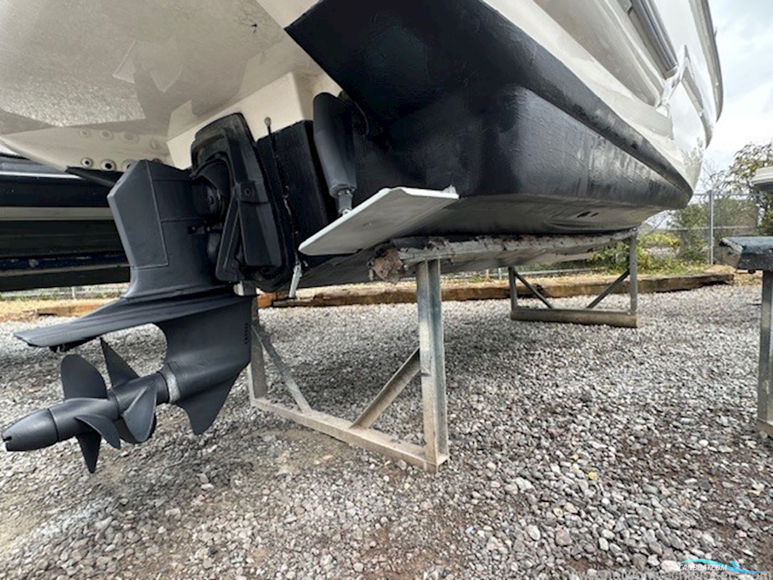 Sealine International S24