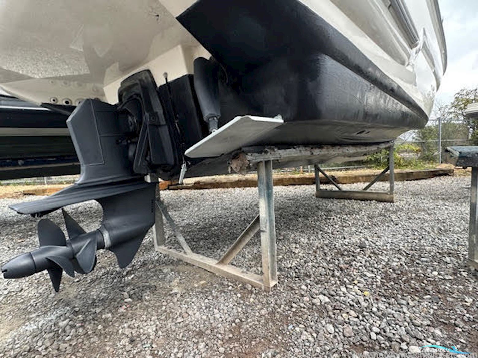 Sealine International S24