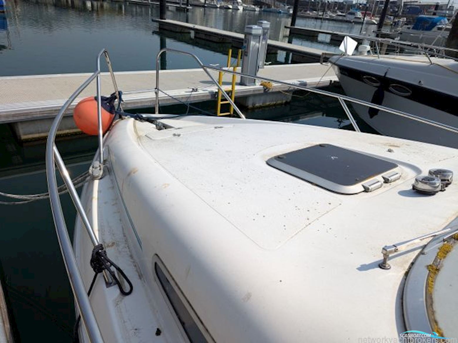 Sealine International Senator 230