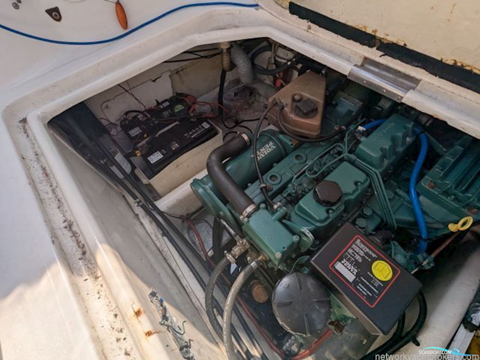 Sealine International Senator 230