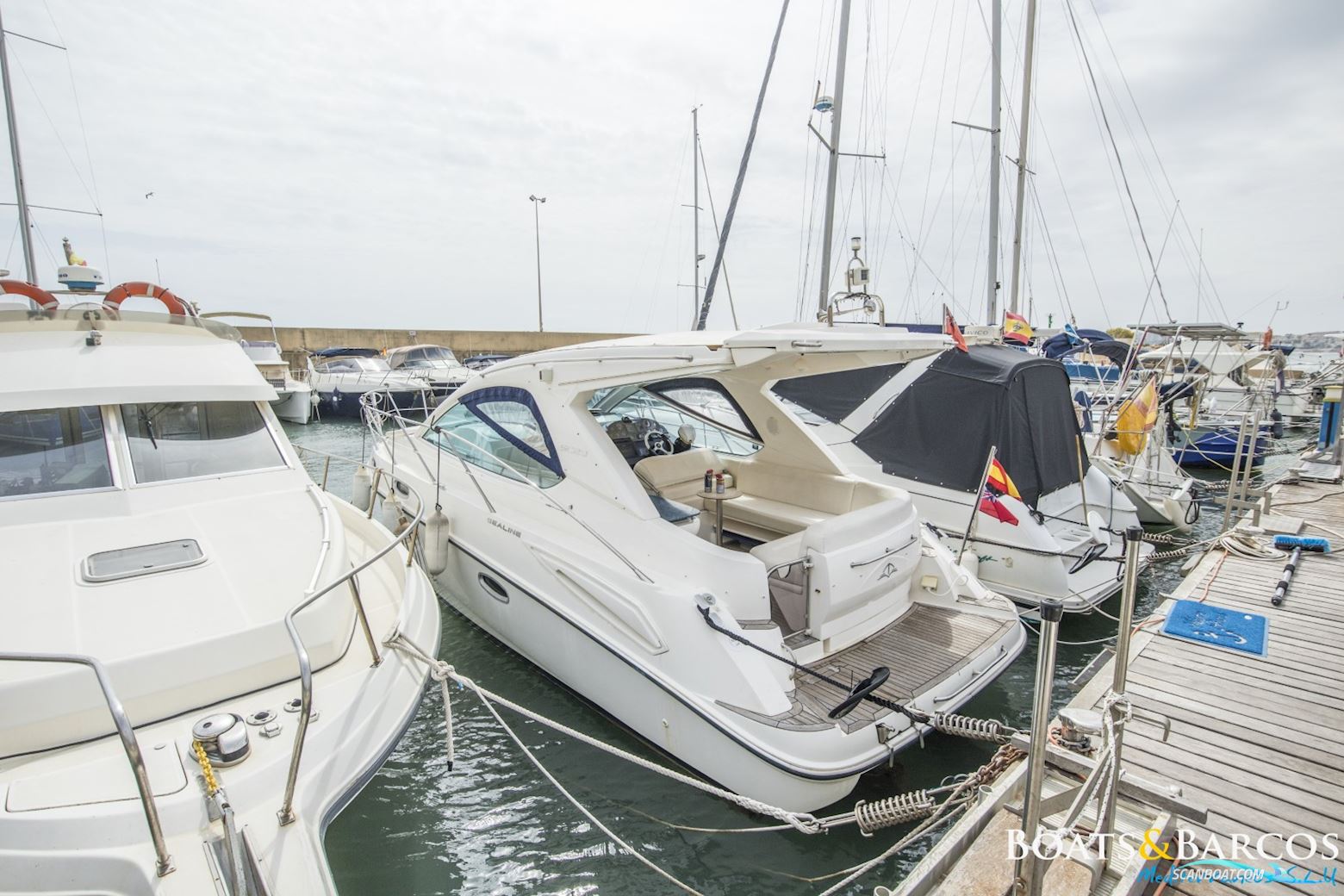 Sealine Sc29