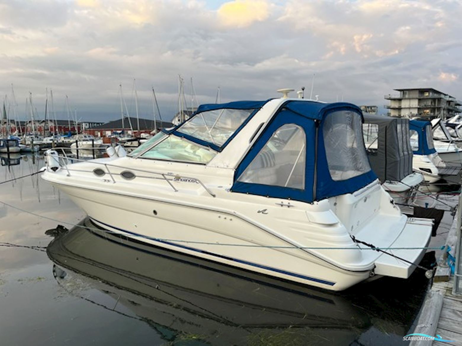 Searay 290 Sundancer (Diesel) Motorbåt 1996, med Mercruiser motor, Danmark