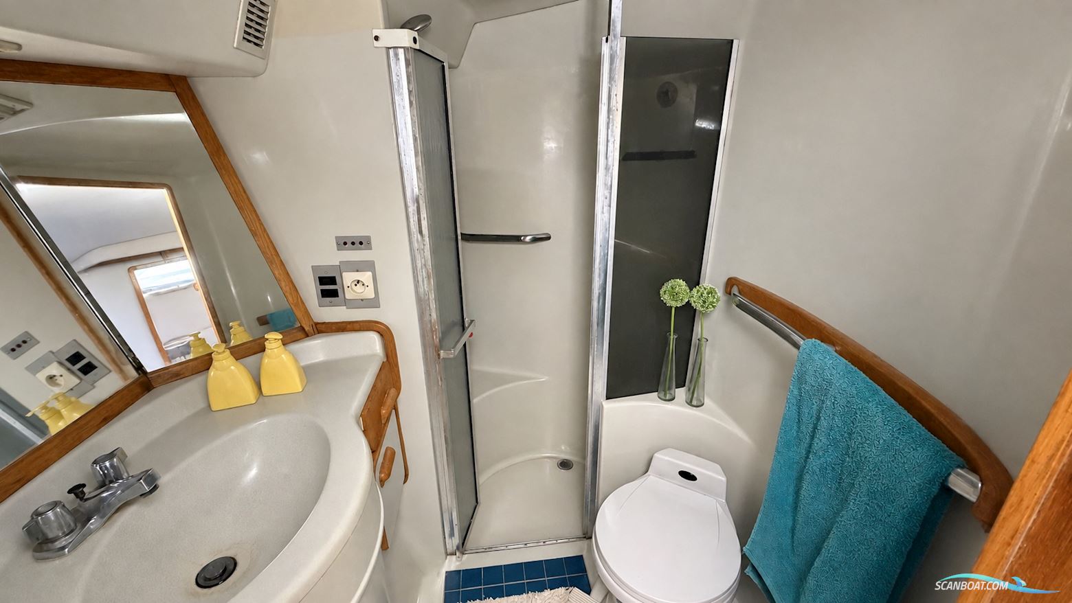 Searay sundancer 480