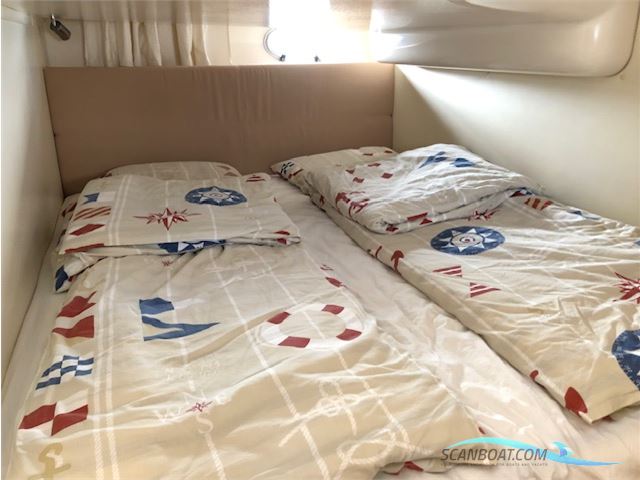 Sessa C30 Oyster