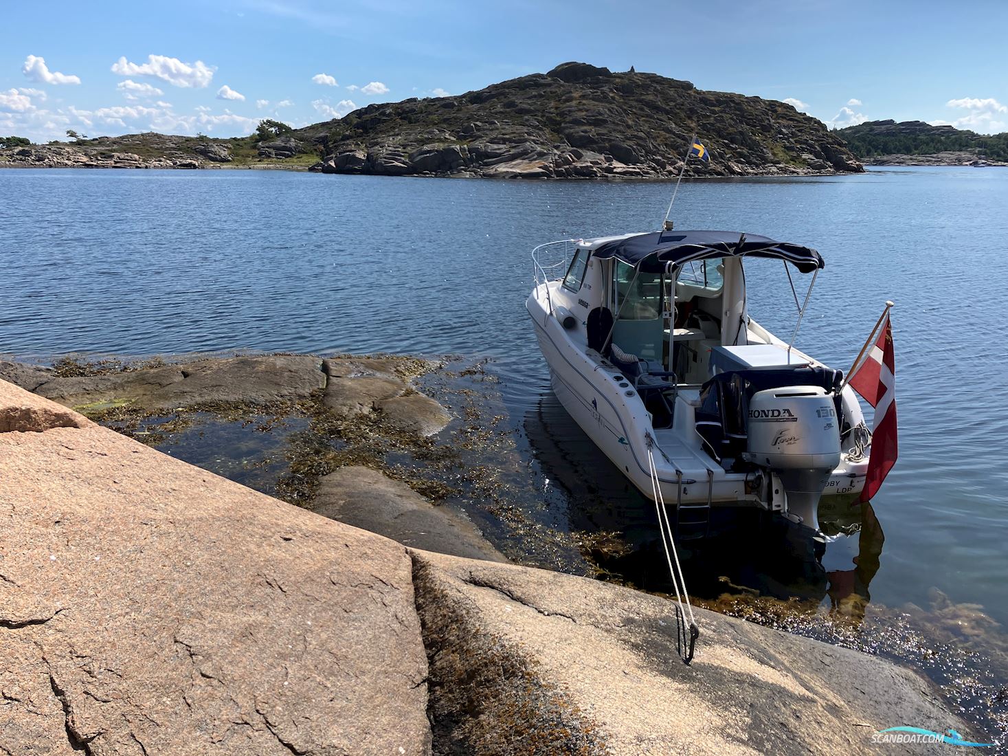 Sessa Ocean 650 Motorbåt 2000, med Honda motor, Danmark