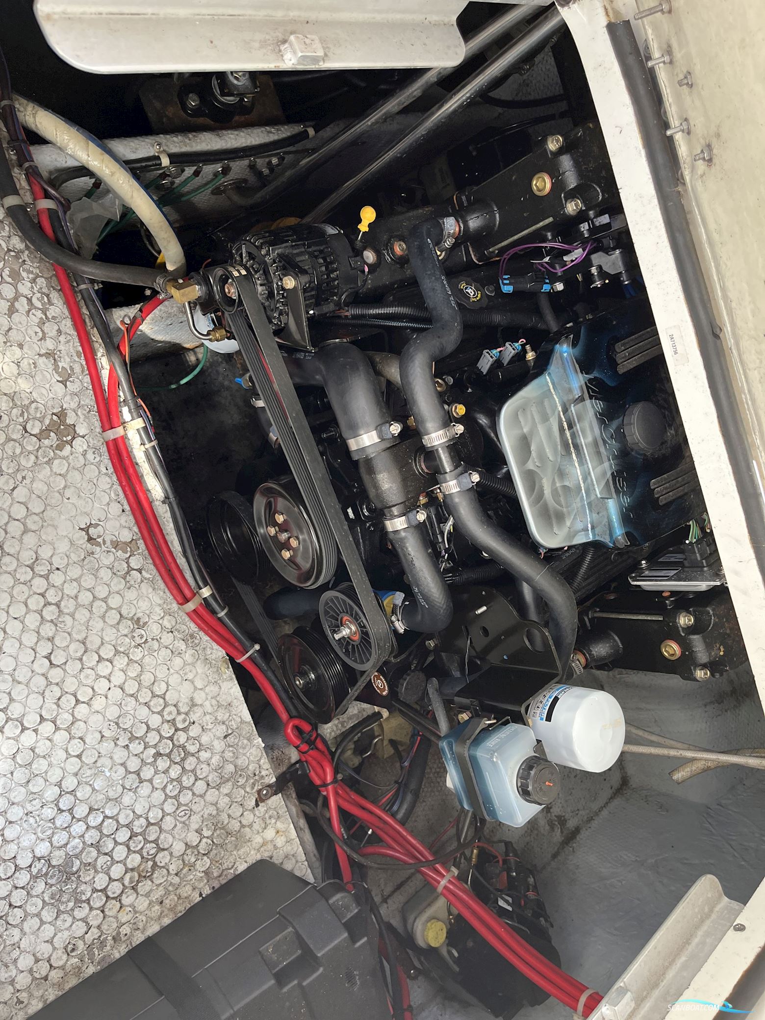 Silverton 31 - 1994 - Aalborg