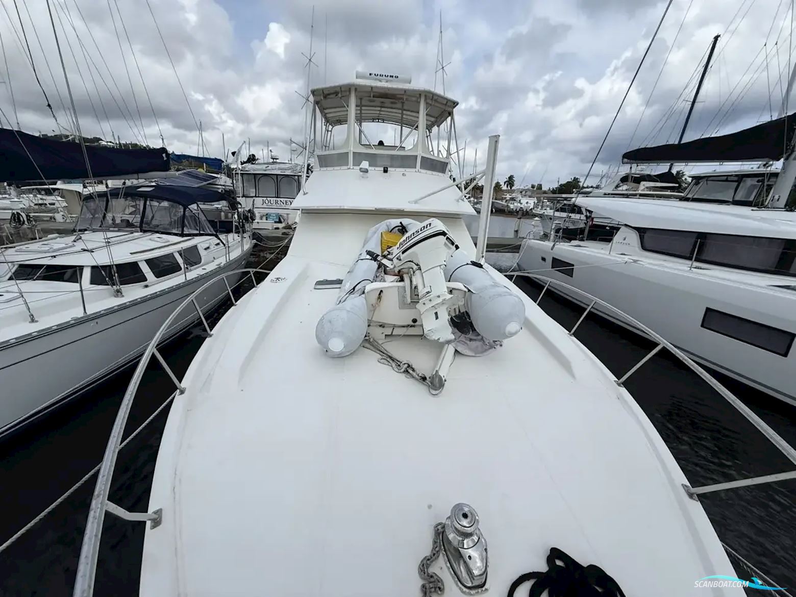 Southern Cross 44 Fish