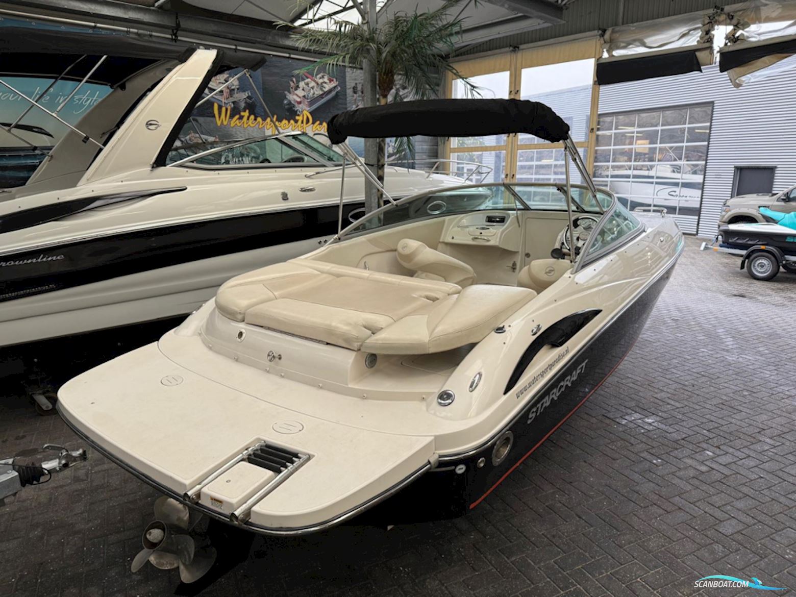 Starcraft 2150 Cuddy