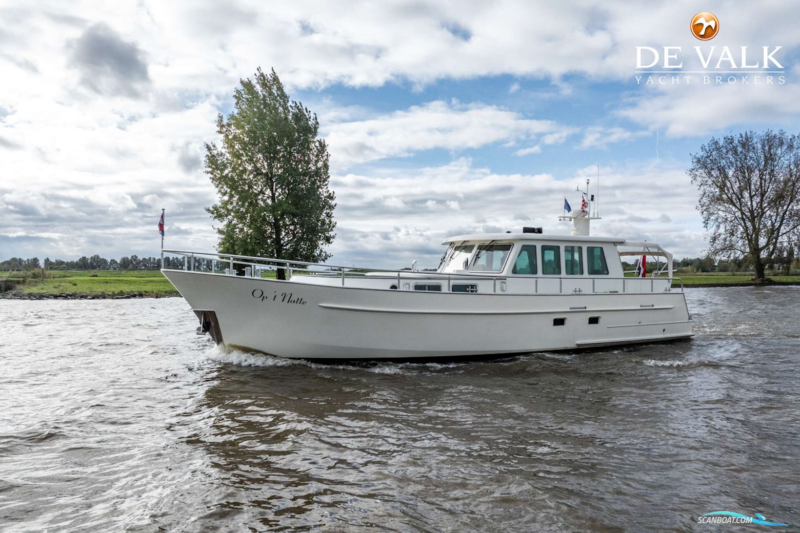 STENTOR Survey 15 OC