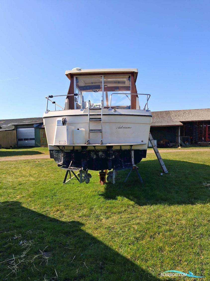 Storebro Royal Biscay 31