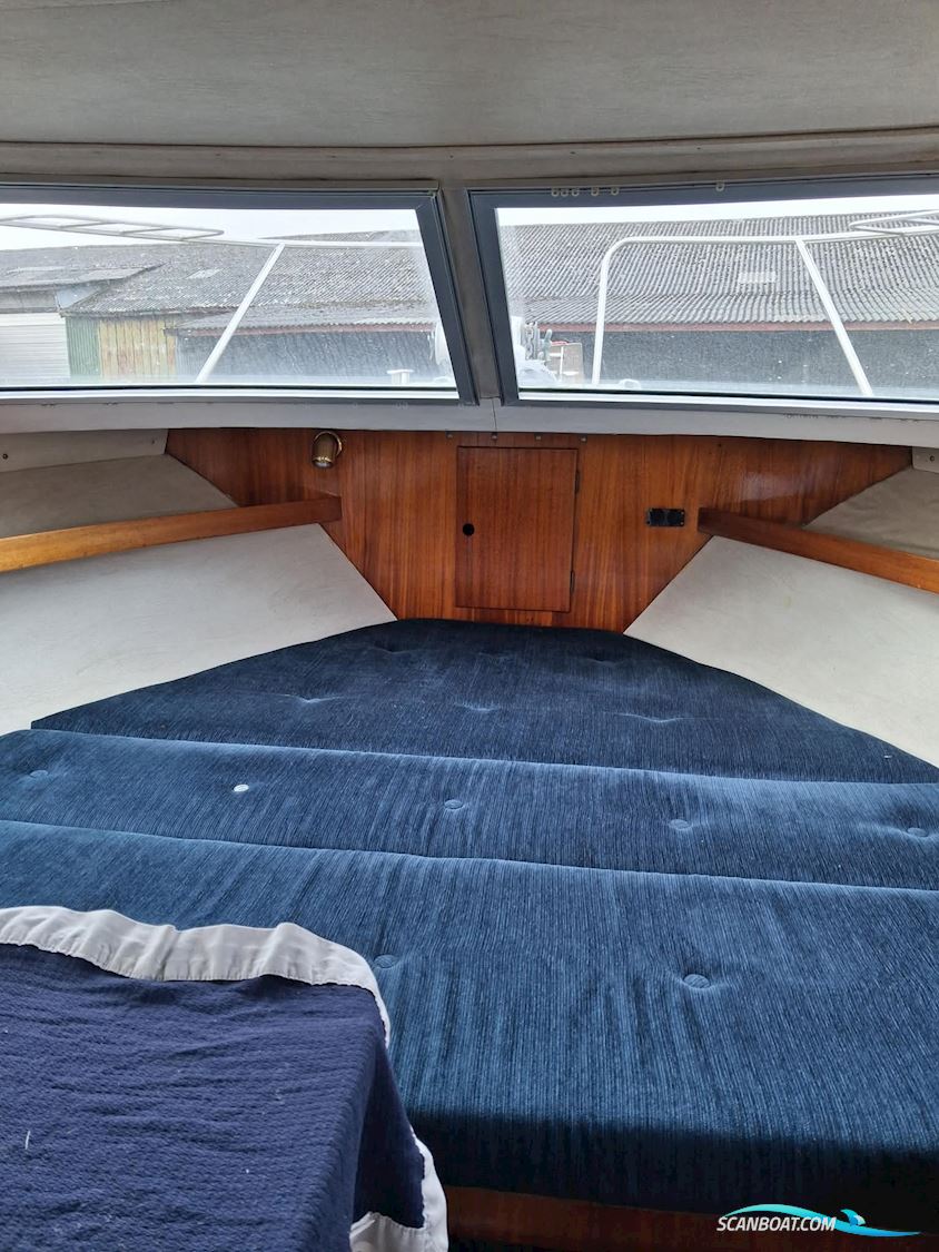 Storebro Royal Biscay 31