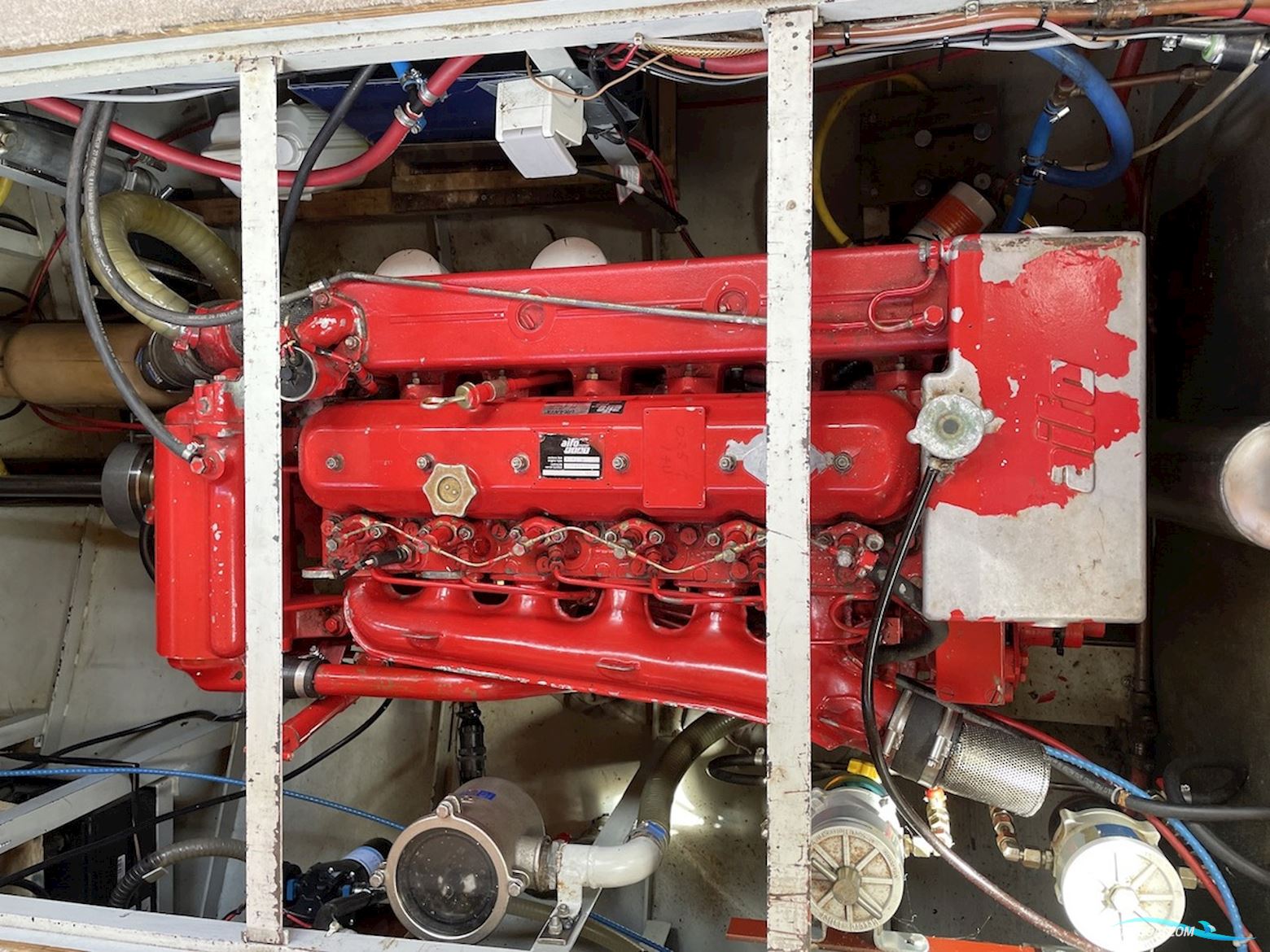 SUPER LAUWERSMEER 1120