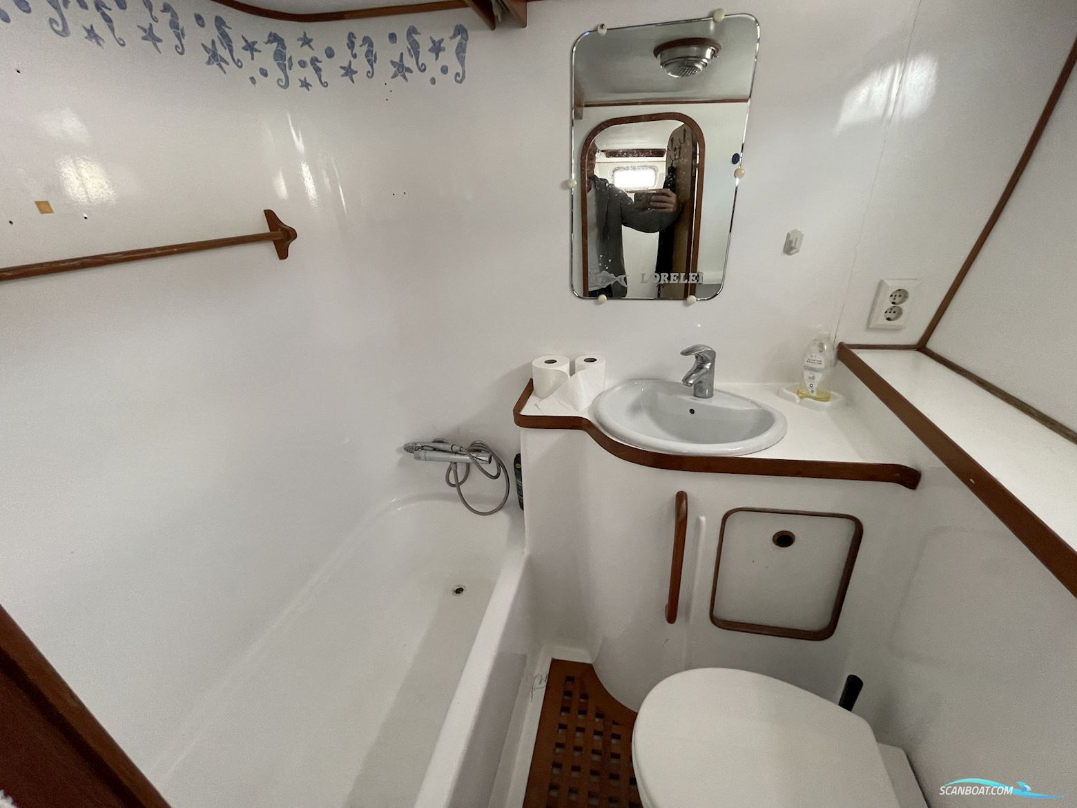 Tarquin Trader 41