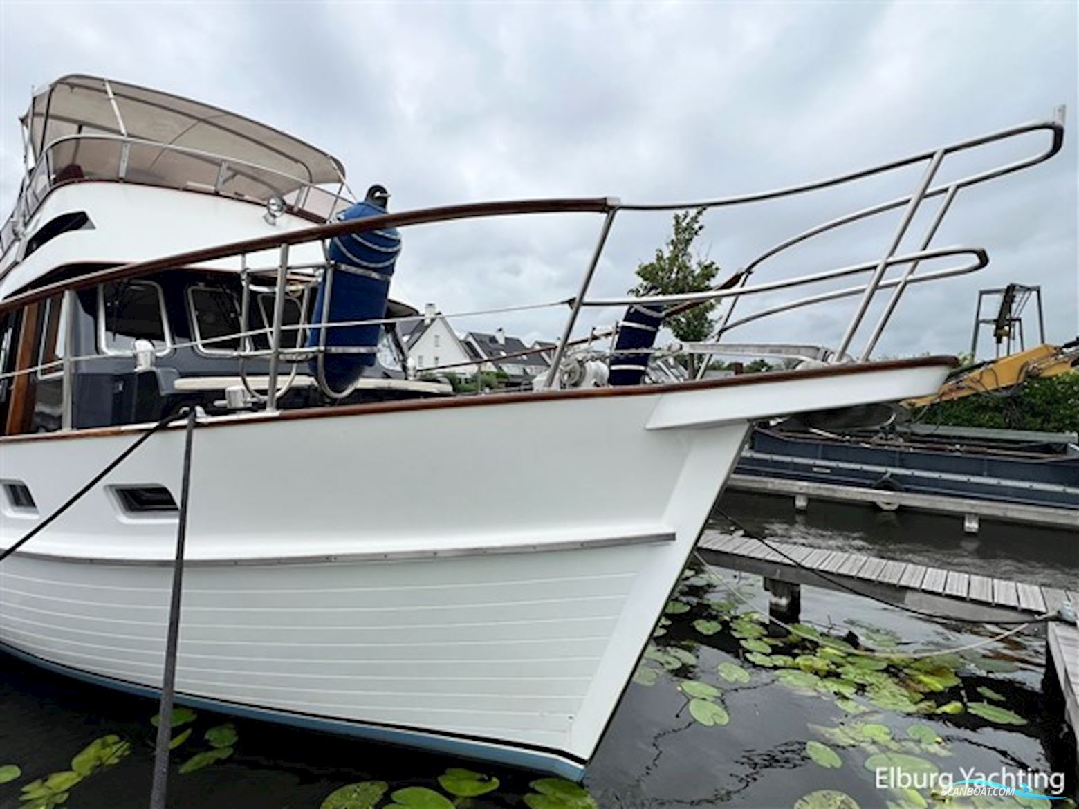 Tayana Trawler  - Pieter Beeldsnijder