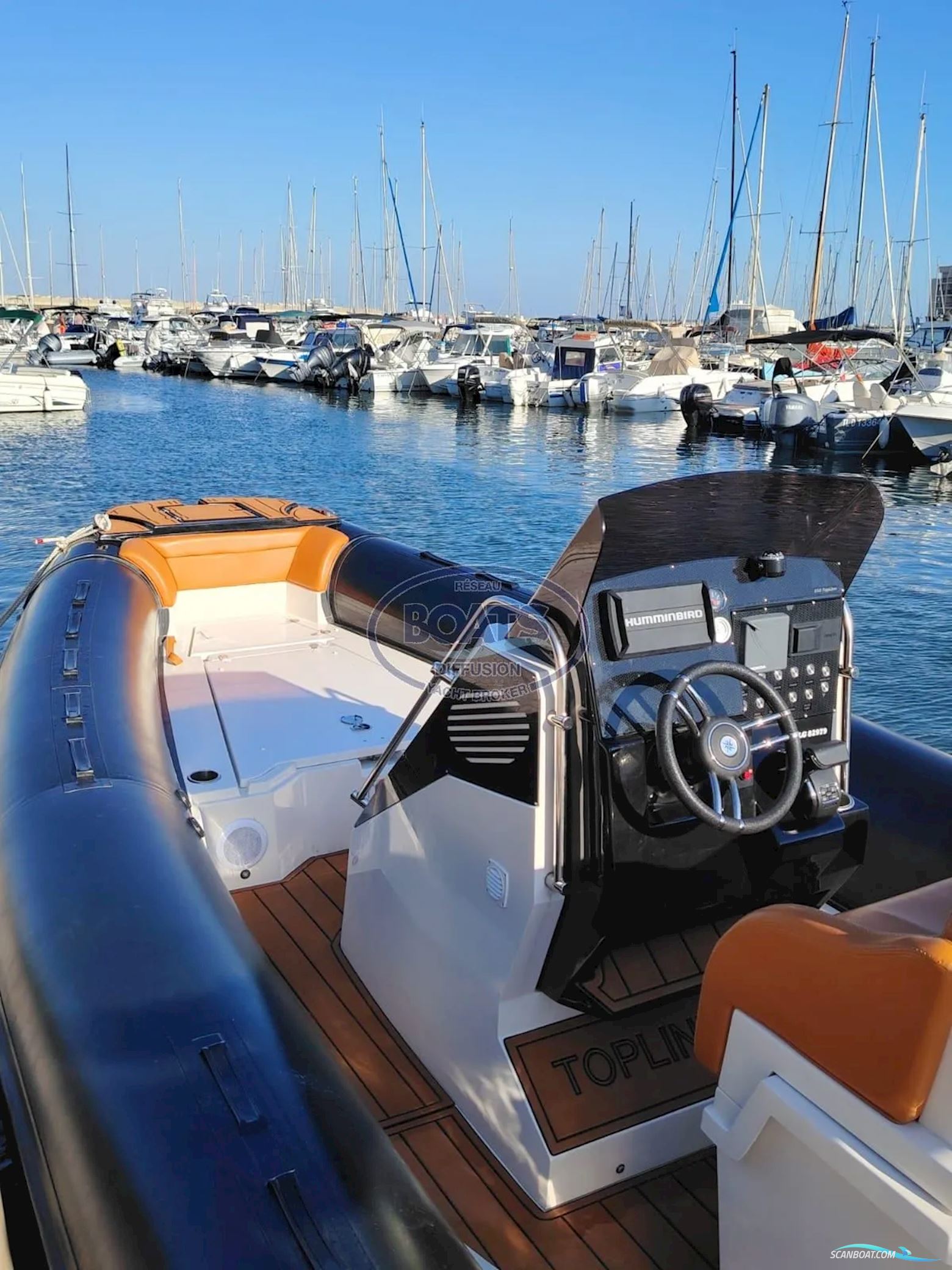 Tiger marine 850 Top Line