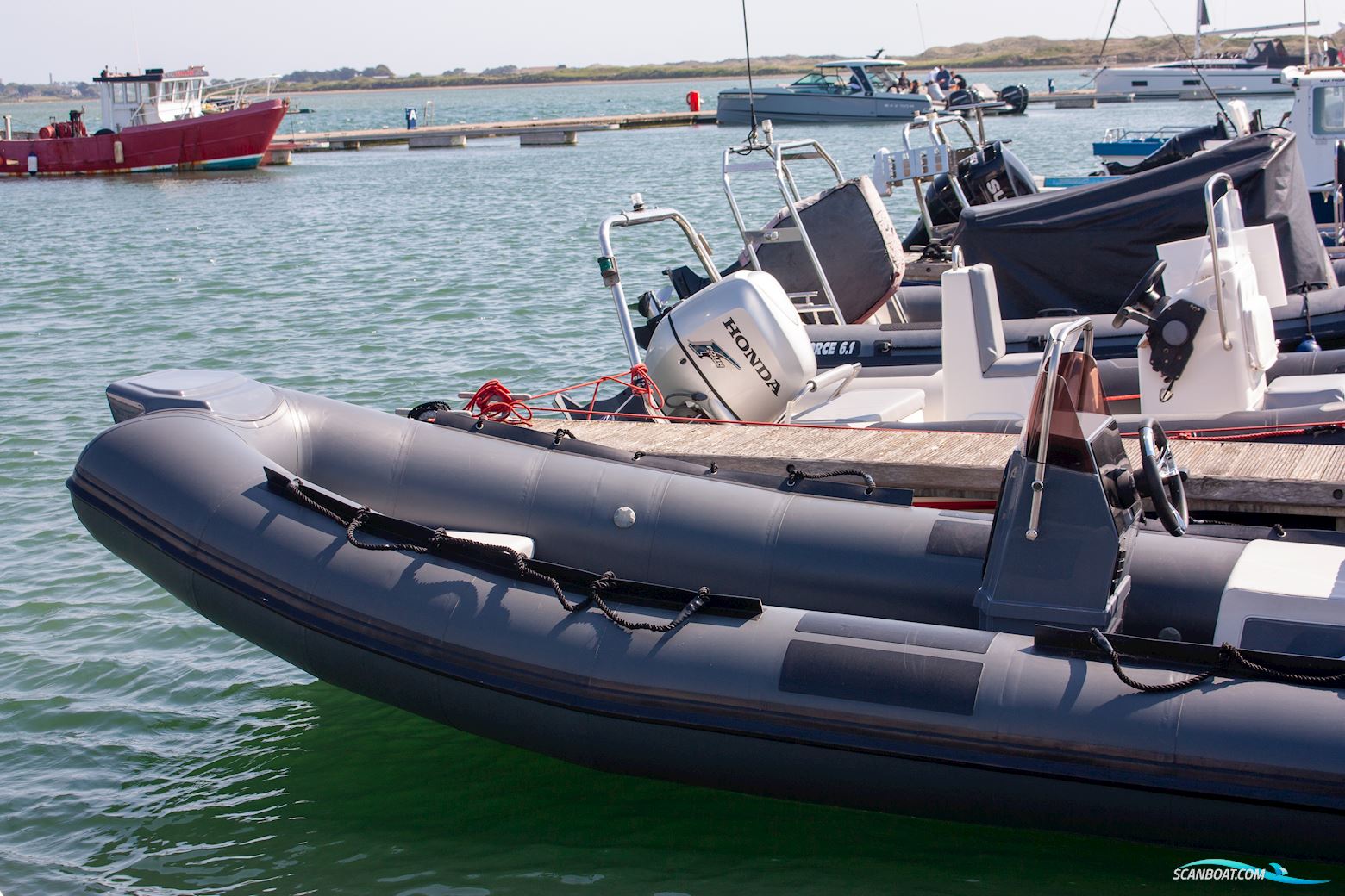 Tiger marine Dive Master 520