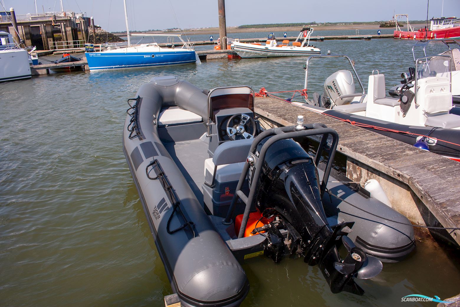 Tiger marine Dive Master 520