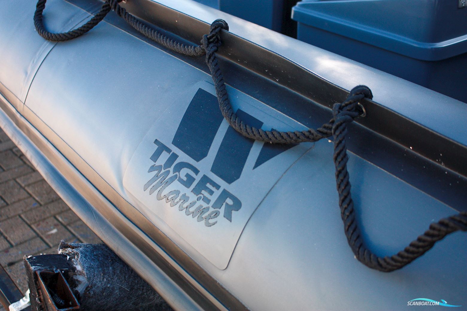 Tiger marine Dive Master 520