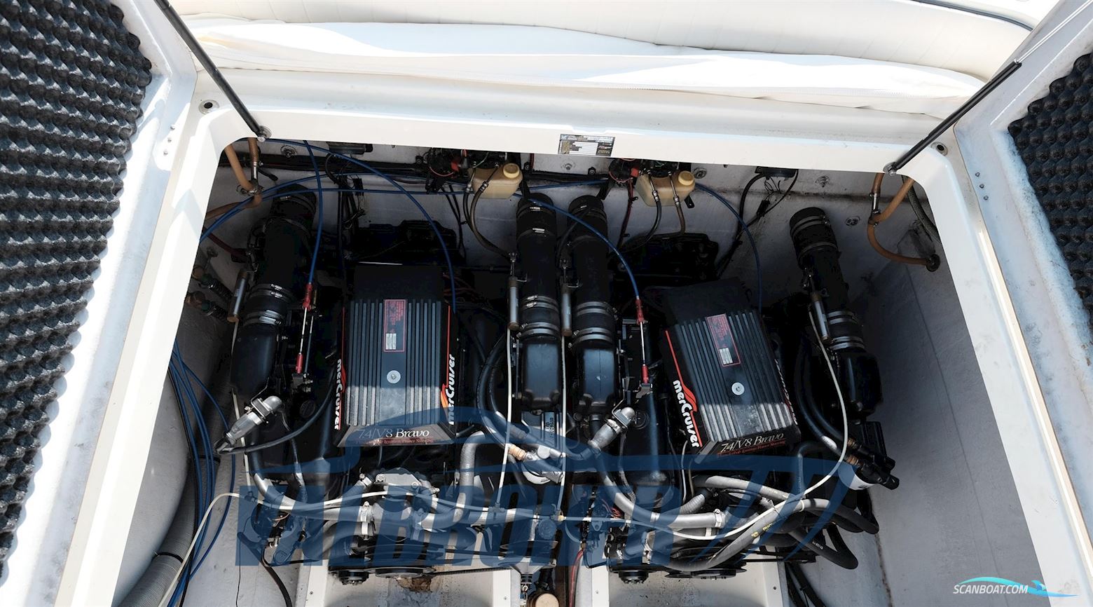 Tony Giugliano 30 Sport