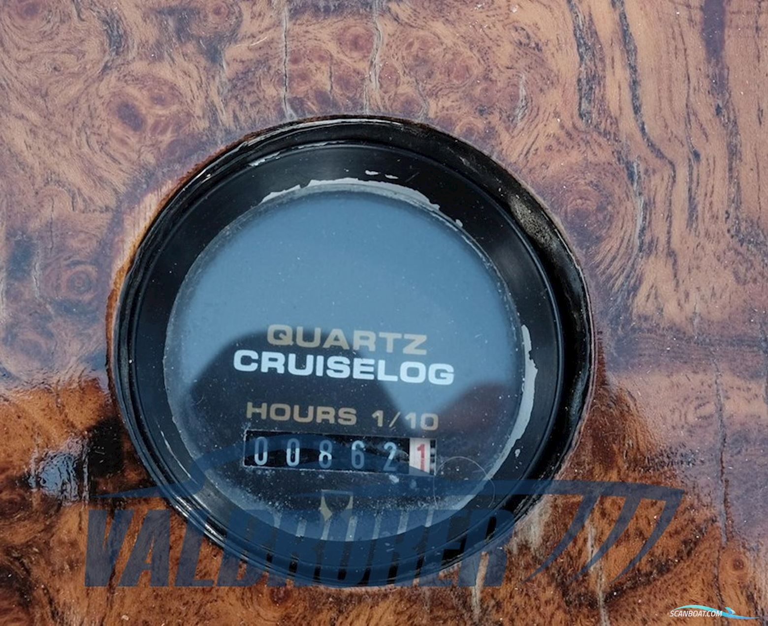 Tony Giugliano 30 Sport