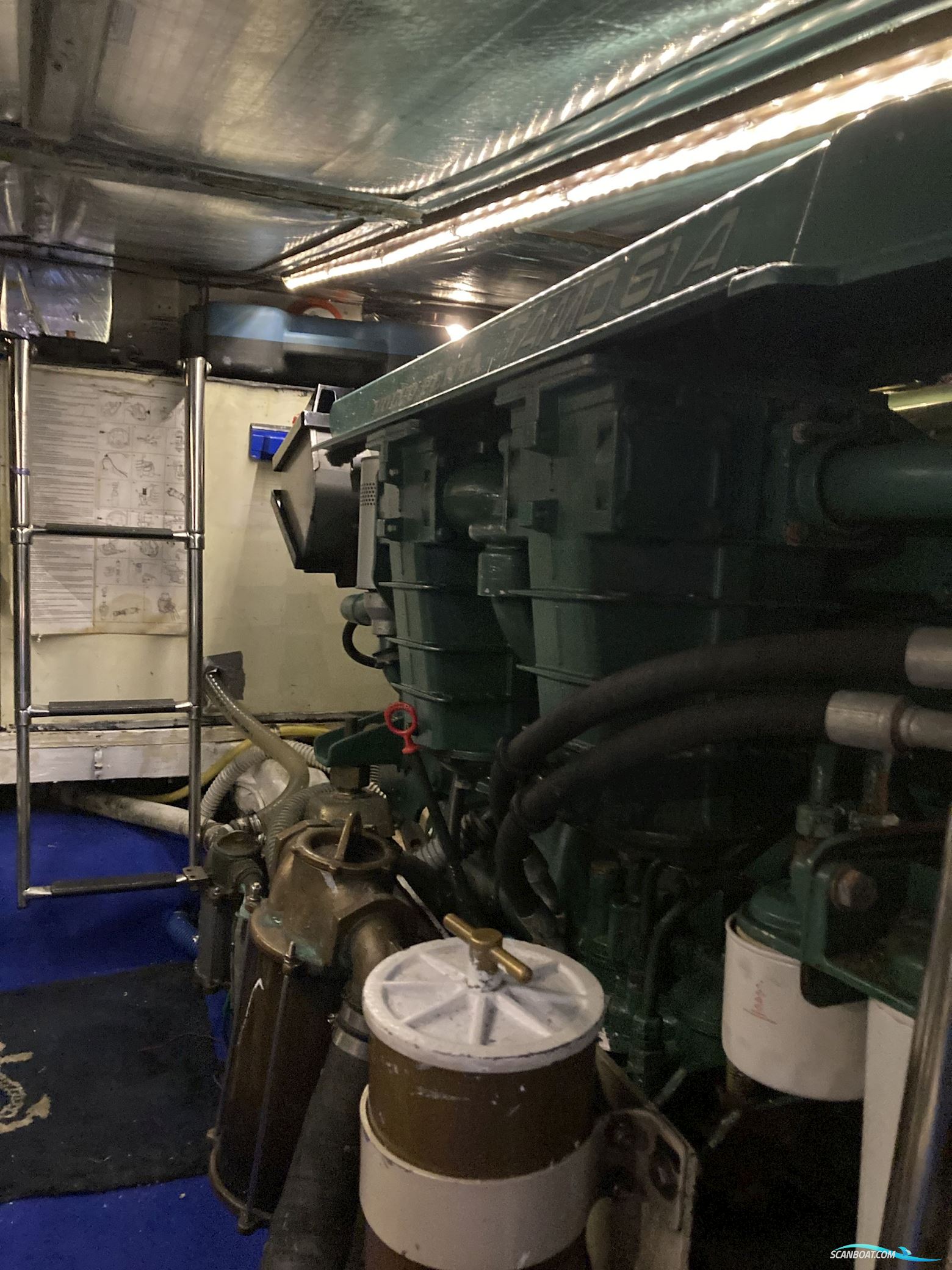 Tradewind 43 Sundeck