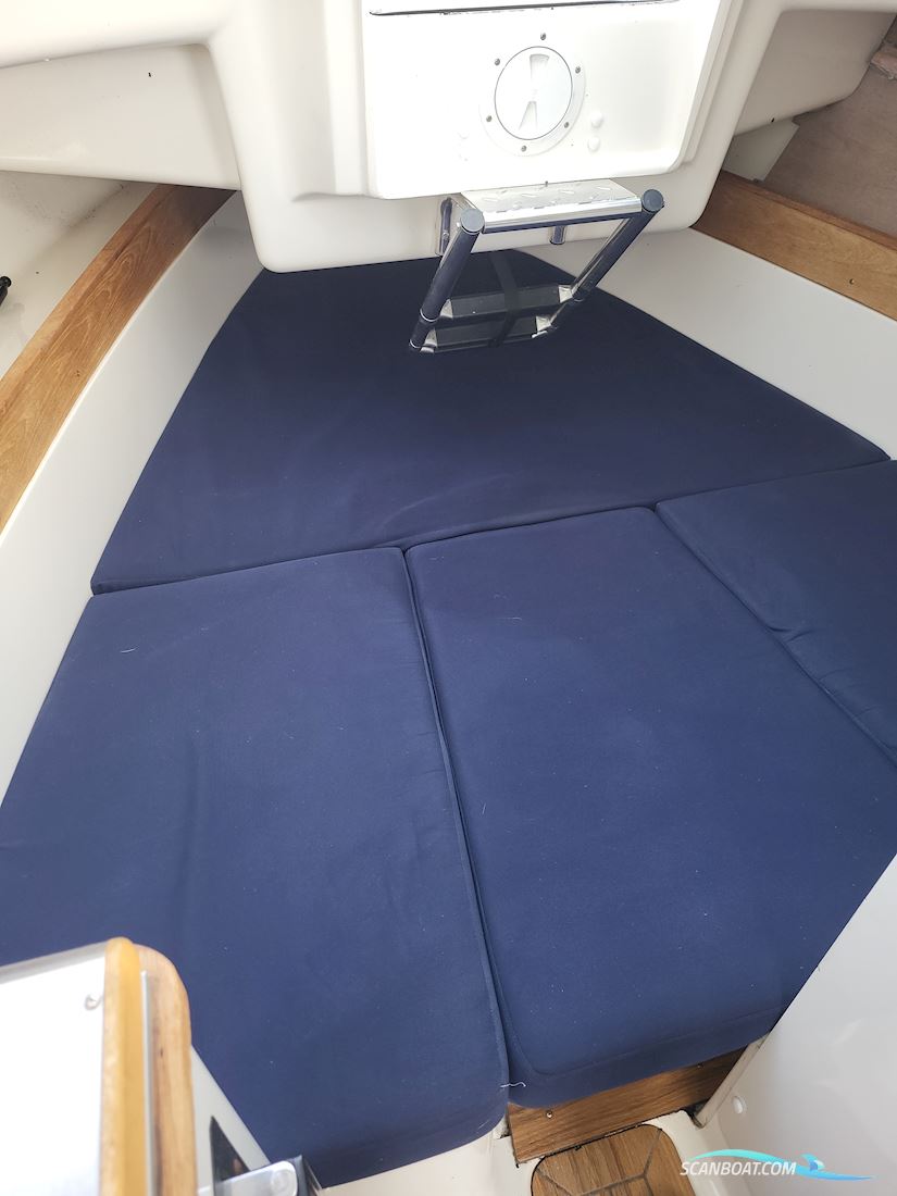 Uttern C66 Exclusive