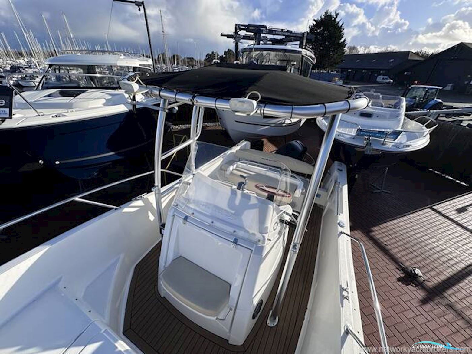 White Shark 226