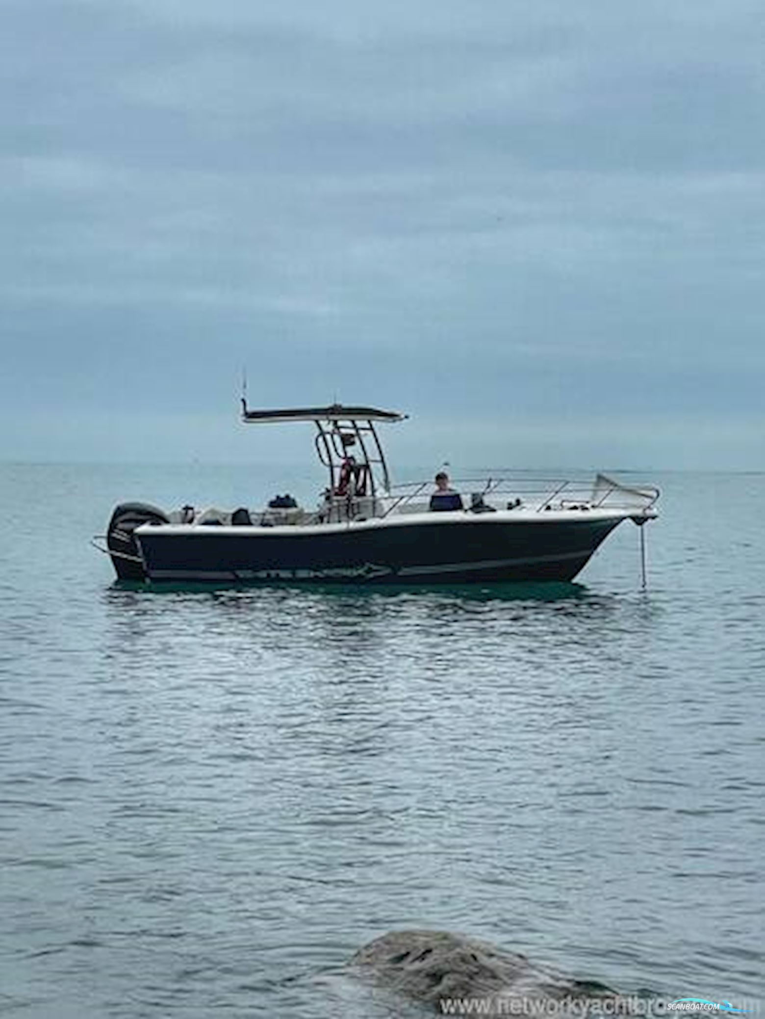White Shark 226