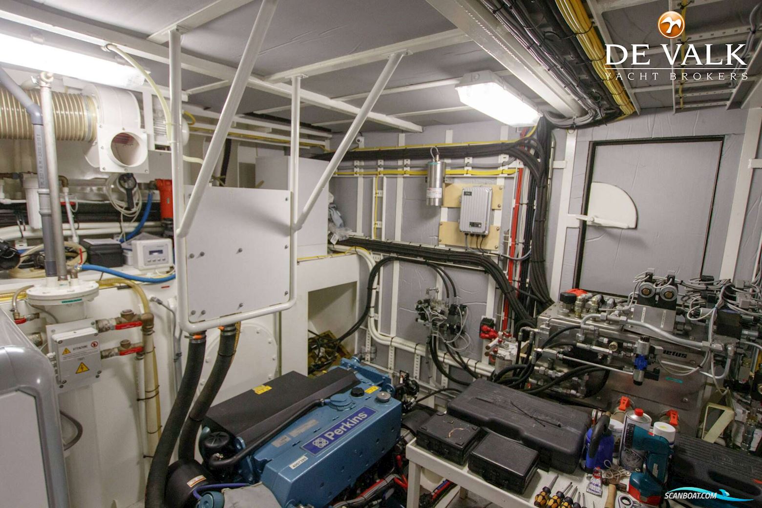 Almtrawler Delfino 65