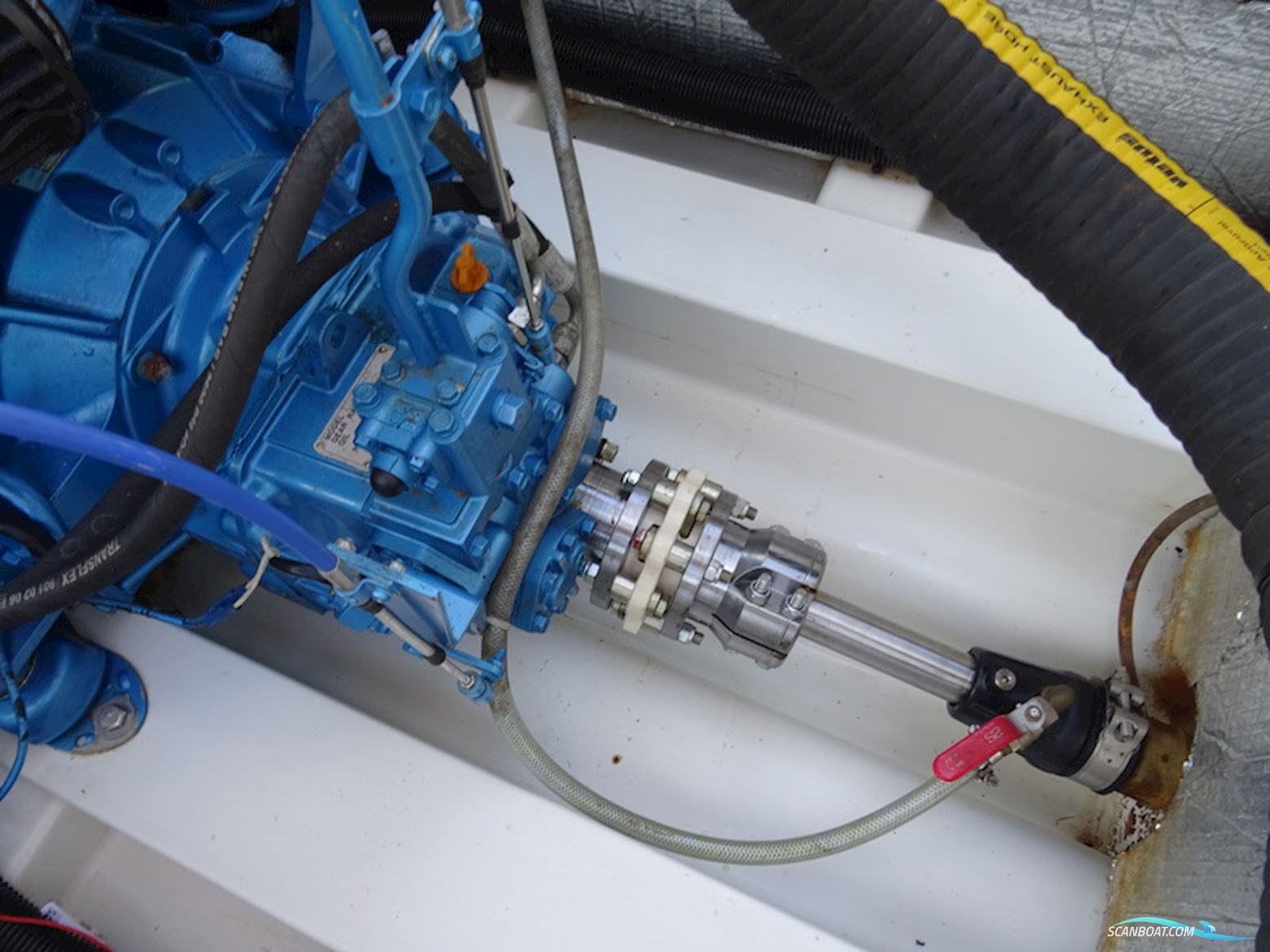 Antaris Seventy7 Sport