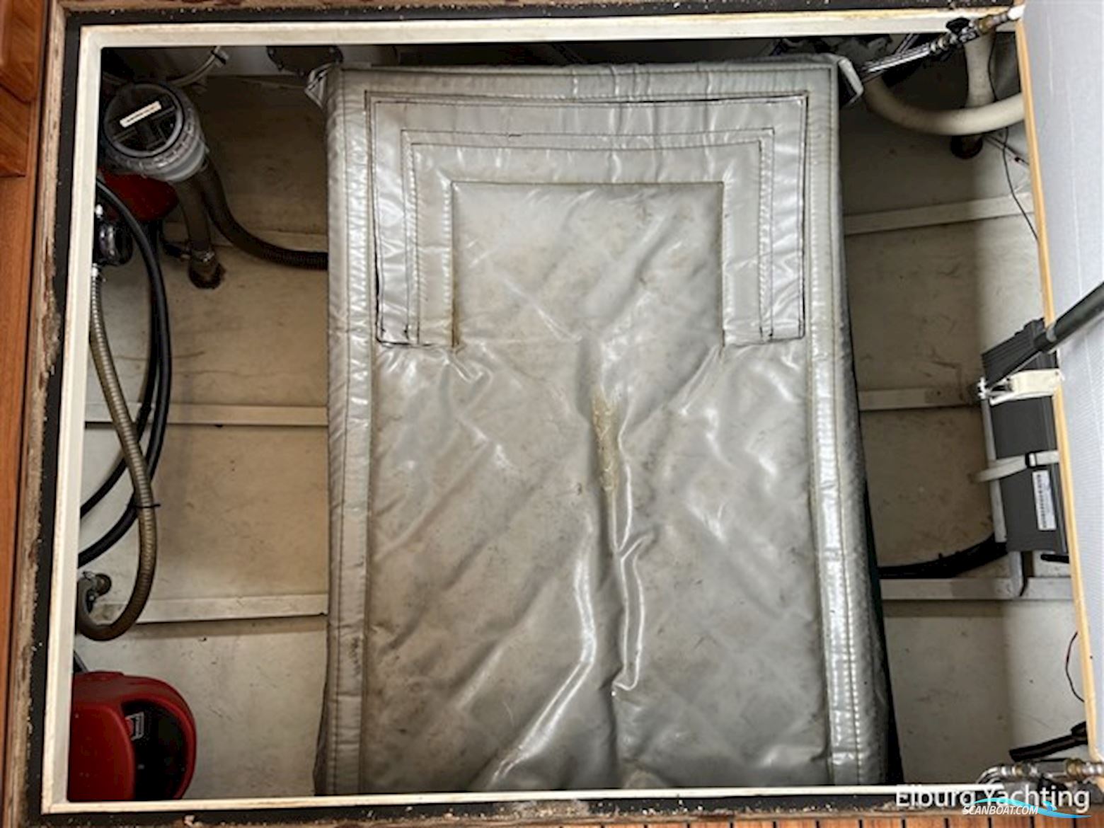 Antaris Steeler  11.50 OC 