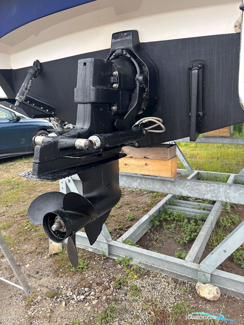 Askeladden 645 Beetle