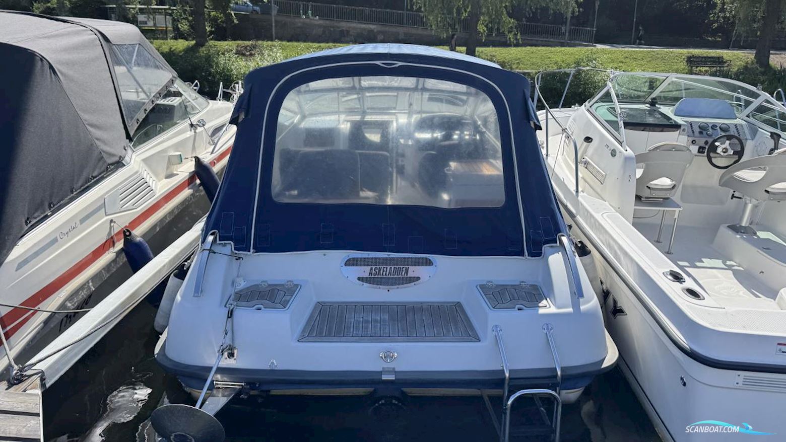 ASKELADDEN 645 BEETLE