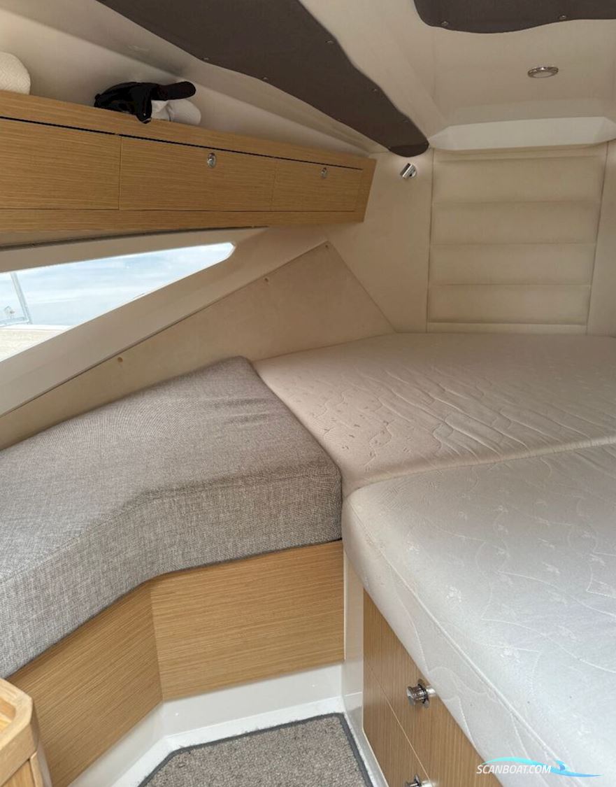 Askeladden C83 Cruiser