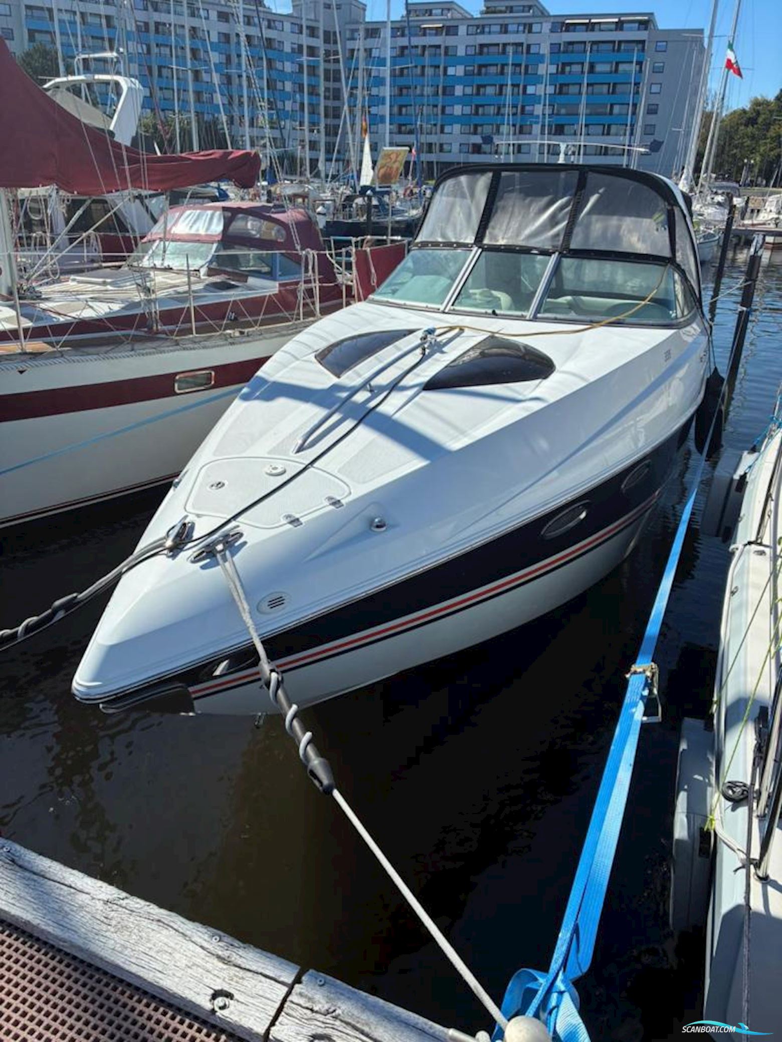 Baja Performance 335