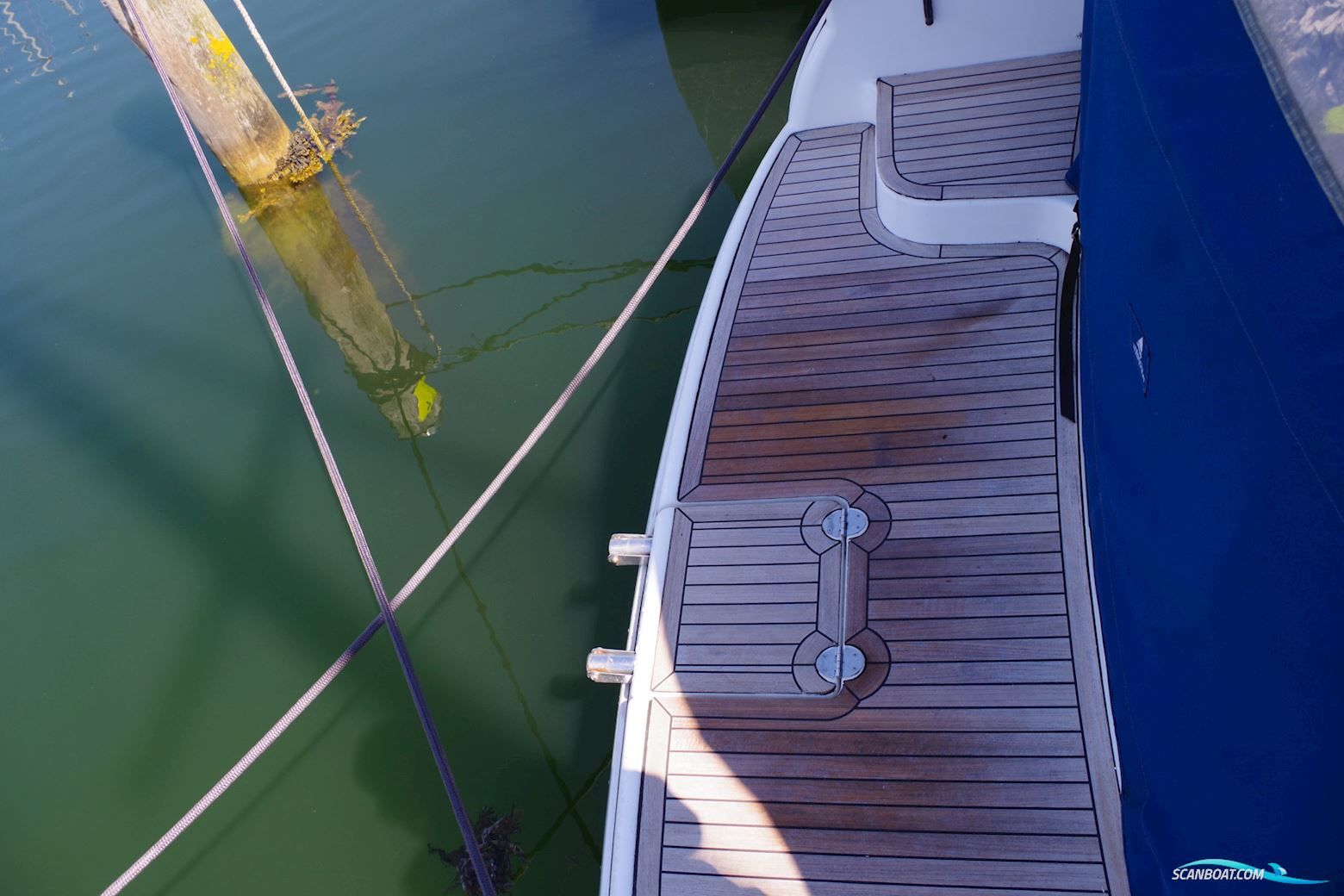 Bavaria Bavaria 37 Sport