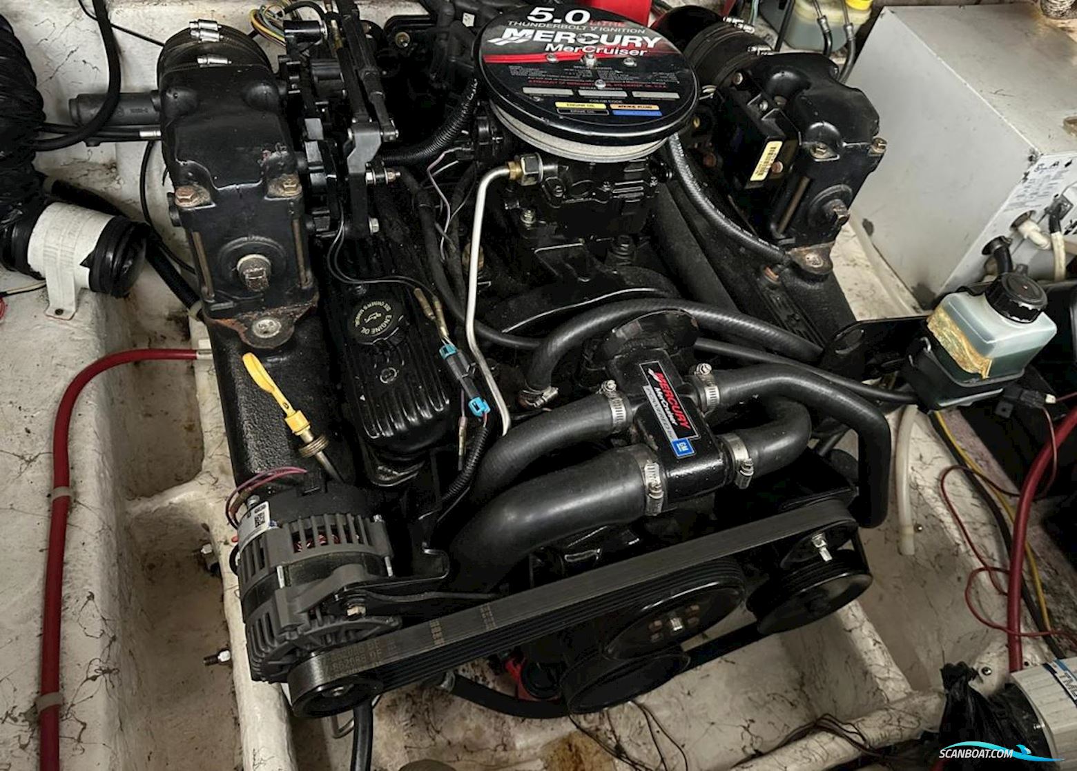 Bayliner  245 SB Ciera 2455 Sunbridge