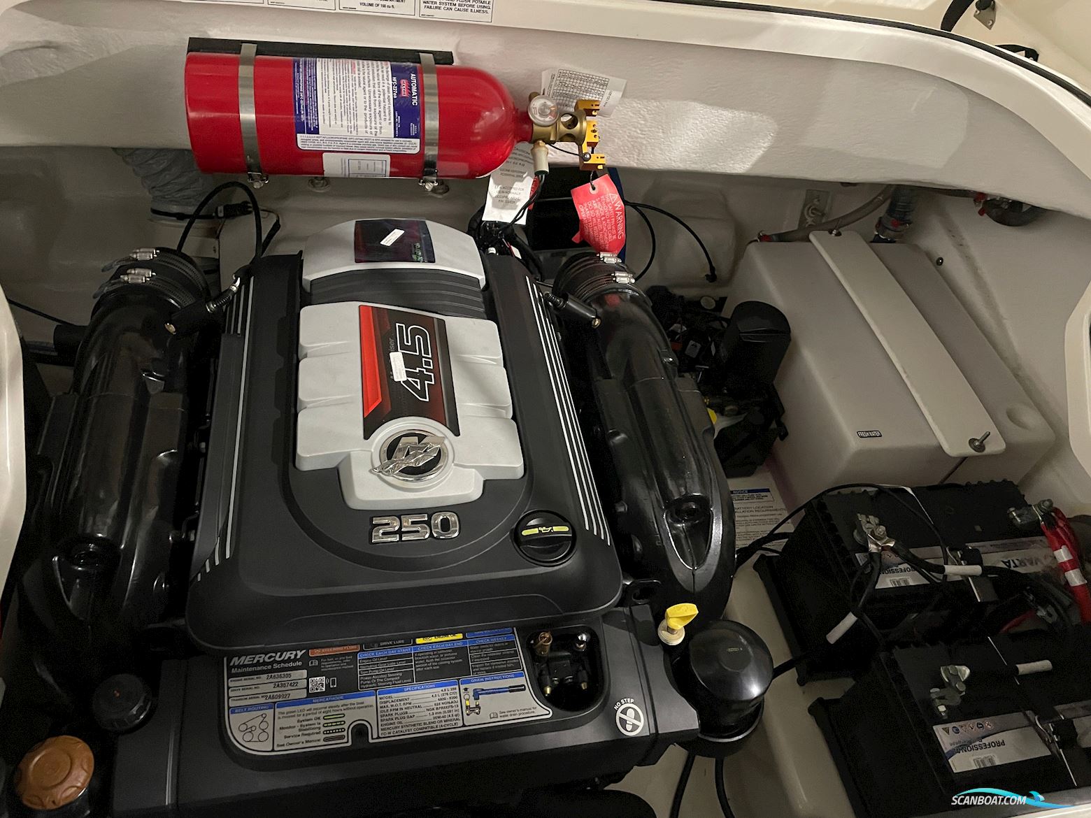 Bayliner  742 R Cuddy