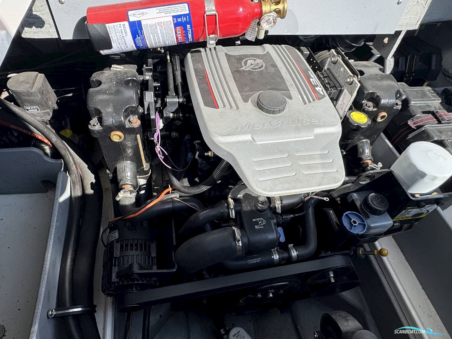 Bayliner 205 BR - 4.3 Mercruiser Mpi