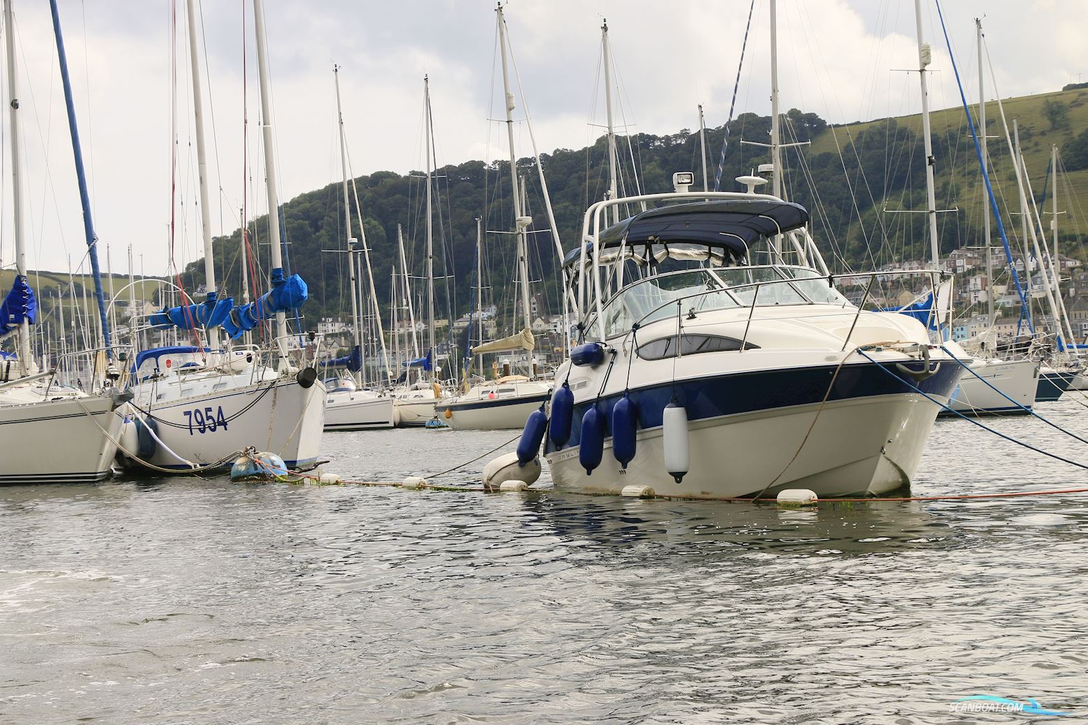 Bayliner 245