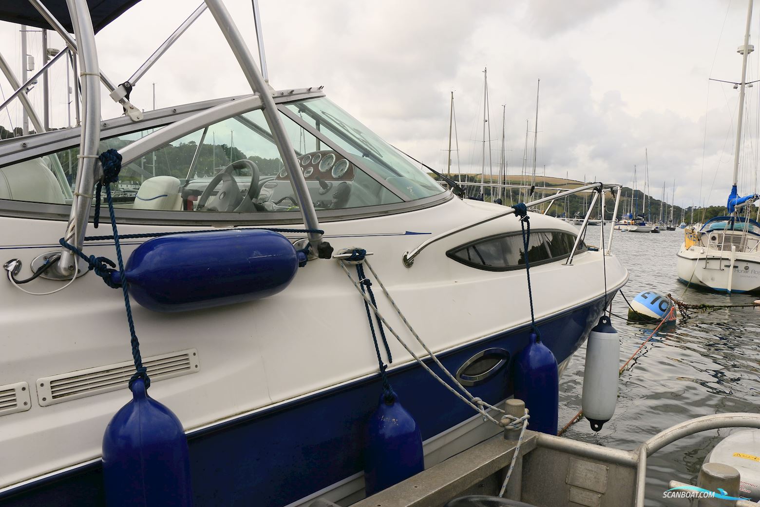 Bayliner 245