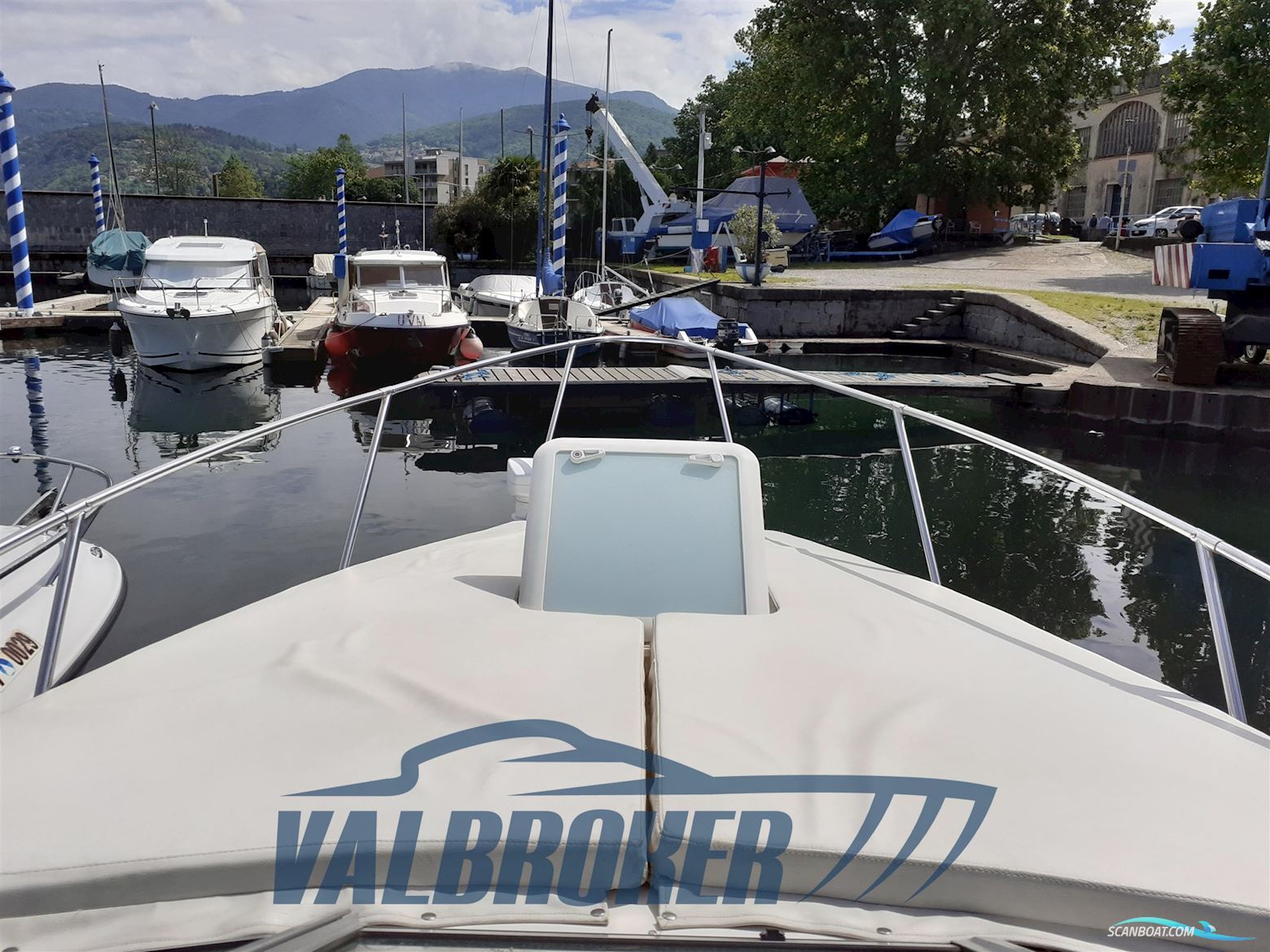 Bayliner 245
