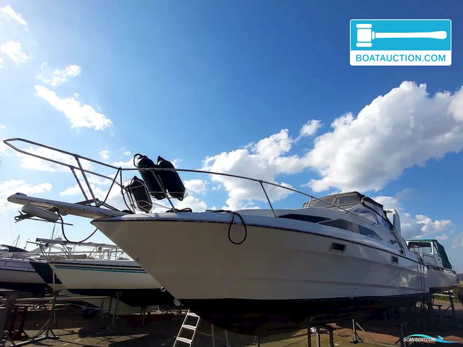 Bayliner 2655 wide body