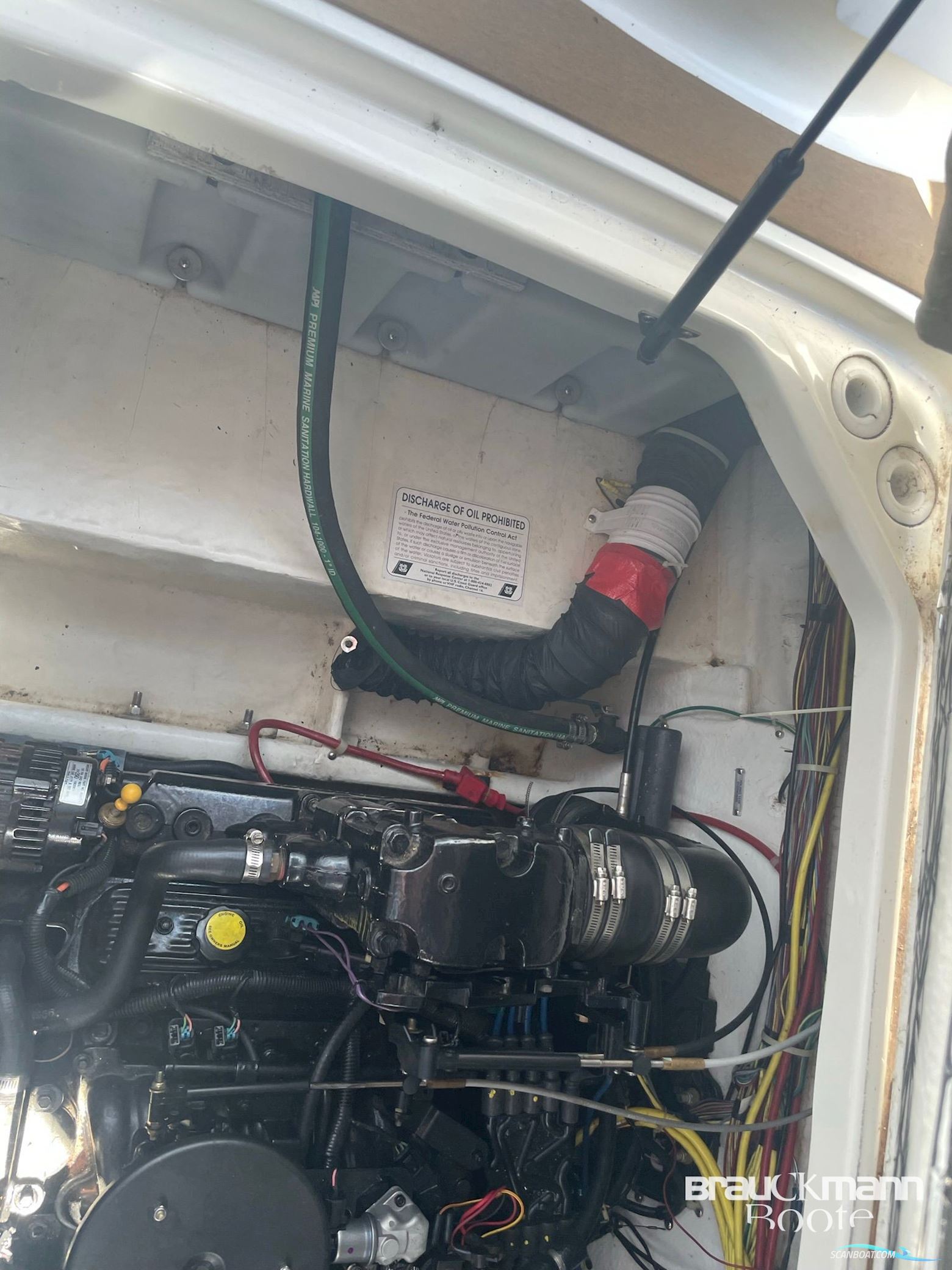 Bayliner 285