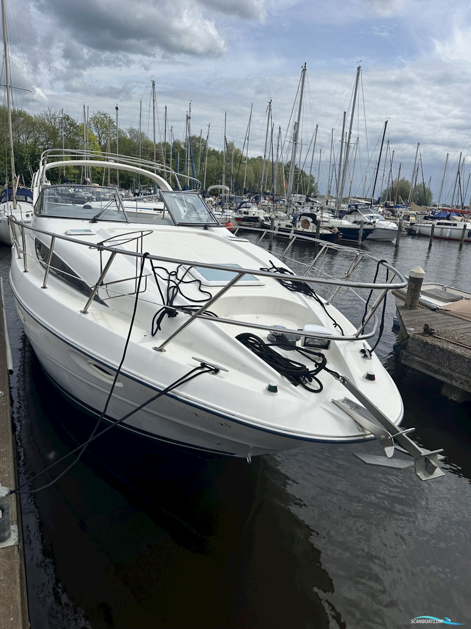 Bayliner 305 Ciera