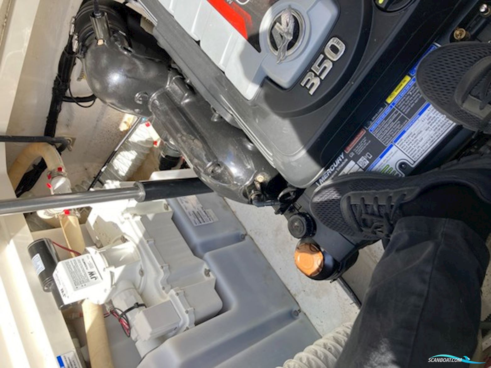 Bayliner 842 (nedsat 200.000,- )