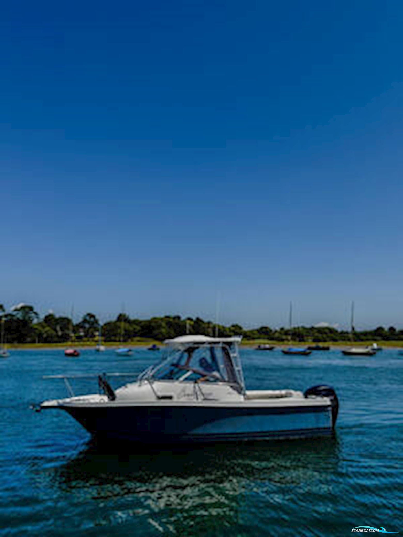 Bayliner Trophy 2102 Walkaround