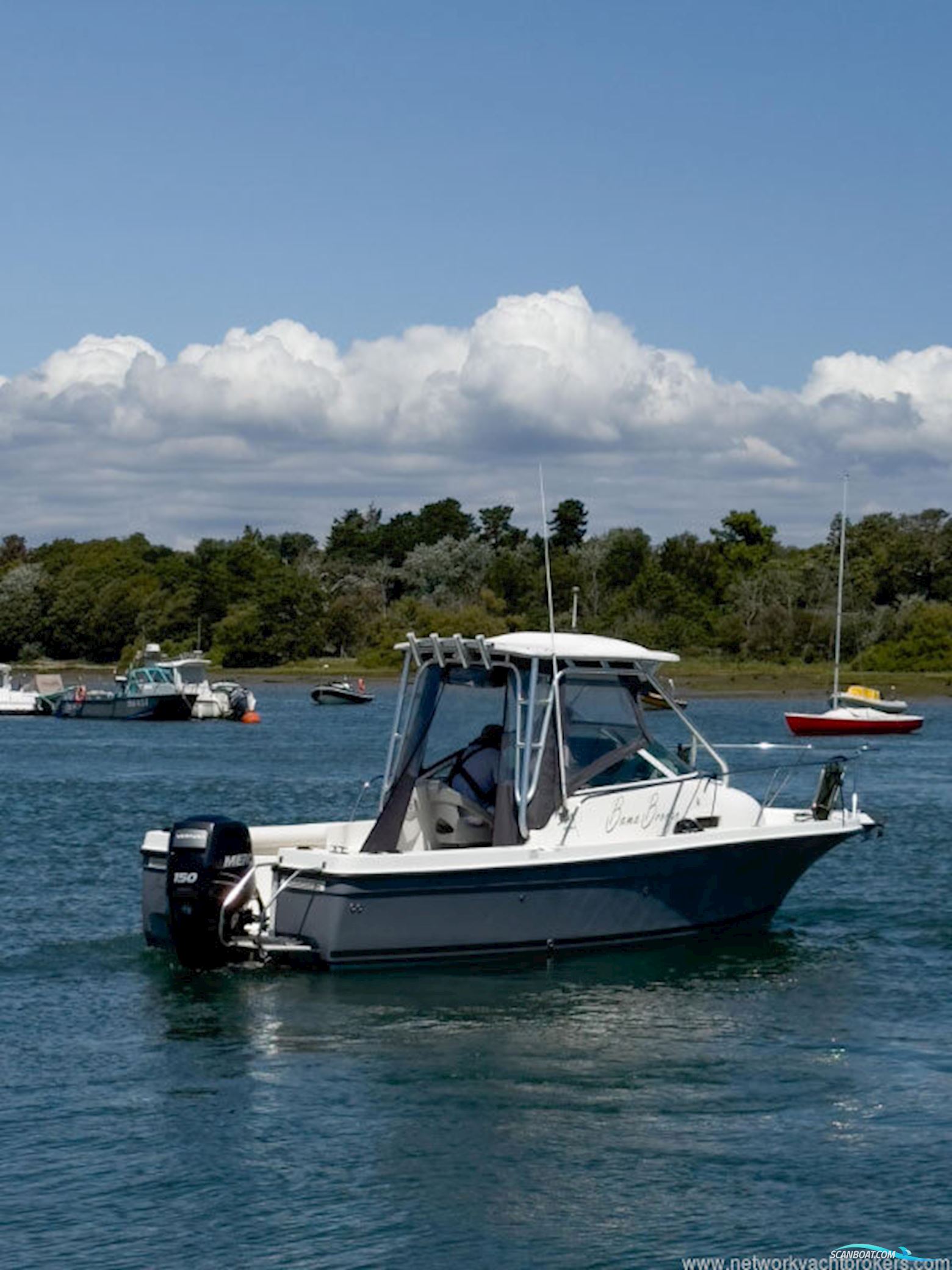 Bayliner Trophy 2102 Walkaround